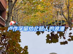 -朝阳正码头