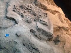 -侵华日军南京大屠杀遇难同胞纪念馆-停车场