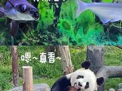 -红山森林动物园