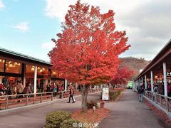 -轻井泽王子购物广场