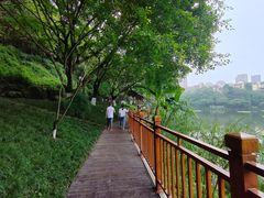 -重庆彩云湖湿地公园