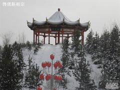 -北极星广场