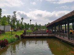 -枫香湖儿童公园