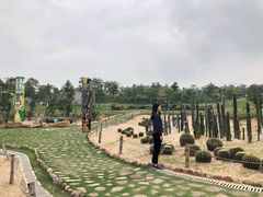-东莞植物园