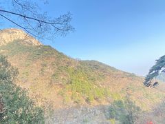 -泰山风景名胜区