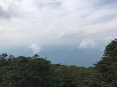 -大围山国家森林公园