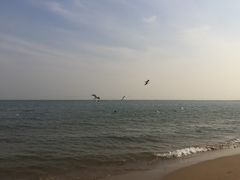 -港畔赶海蒸汽海鲜烧烤自助(仙螺岛店)