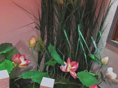 -芦月轩羊蝎子(劲松店)