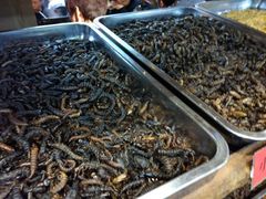 -昆虫窝子·特色云南菜(拓东路总店)