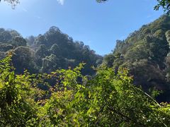 -青城山