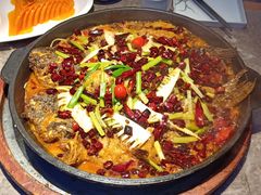 -老板恋上鱼(恒隆广场店)