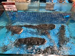 -许爷家·生态湖鲜(徐汇日月光店)