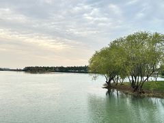 -贡湖湾湿地公园