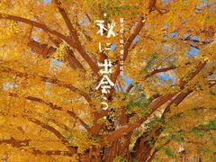 -北京石刻艺术博物馆(五塔寺)