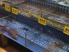 水产区-天禧(西溪店)
