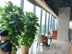 -武汉世茂希尔顿酒店·汇·全日餐厅