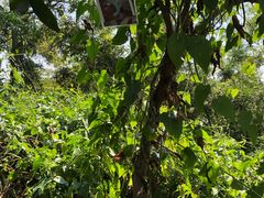 -彩虹桥宠物火化殡葬善终服务(金乐大厦店)