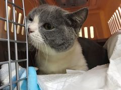 -康乐宝动物医院