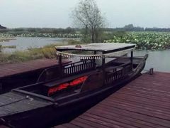 -荷塘月色湿地公园·向阳花洲