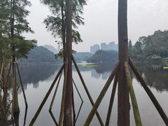 -重庆彩云湖湿地公园