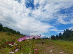 -汉长安城未央宫国家考古遗址公园