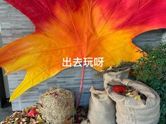 -苏帮袁Sue Cuisine(将台店)