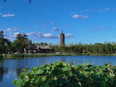 -西海子公园