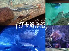 -太平洋海底世界