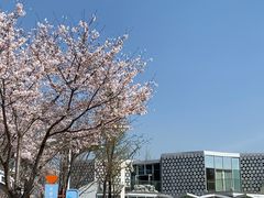 -金陵图书馆