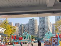 -海合安成都极地海洋公园