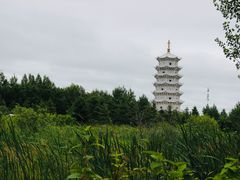-嘉荫恐龙国家地质公园