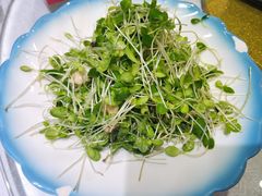 香椿苗拌桃仁-峨嵋酒家(石景山店)