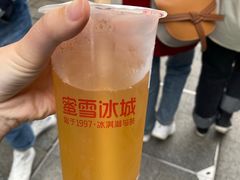 -蜜雪冰城·冰淇淋与茶(长郡中学店)