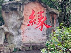 -杭州黄龙洞