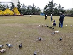 -上海大学(宝山校区)