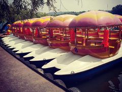 -二一九公园