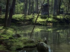 -西芳寺(苔寺)