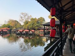 -侨美·唐荔园·40年地道粤菜