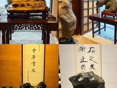-中华赏石园