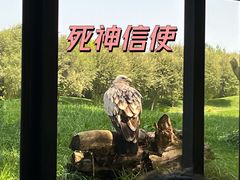 -北京野生动物园