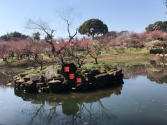 -无锡梅园公园
