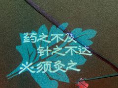 -端艾堂·SPA·艾灸(棕榈泉013店)