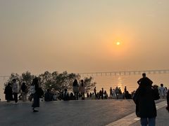 -宝安西湾红树林湿地公园