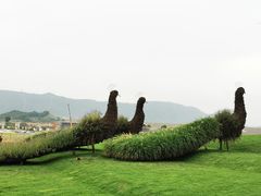 -光明小镇欢乐田园