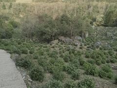 -石台牯牛降景区