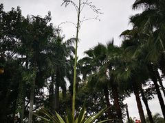 -深圳湾公园(南山区)