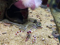 -太平洋海底世界