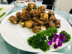 -四海蒸鲜蒸汽海鲜自助(北戴河店)