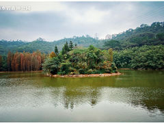 -滴水岩森林公园