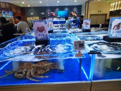-哈尔信阳光农园超市(沈阳三台子万象汇店)